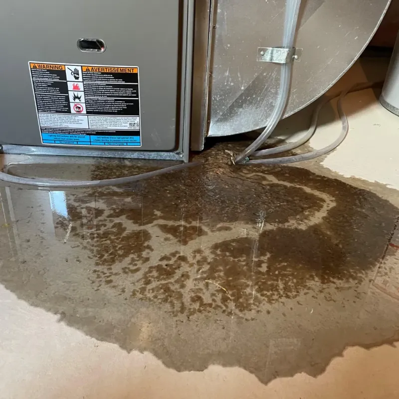 Appliance Leak Cleanup in Mille Lacs County, MN